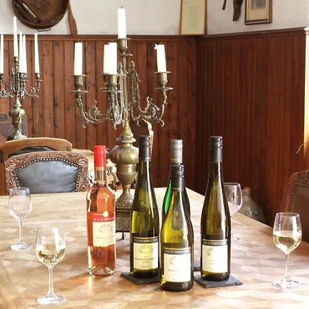 Affittacamere Martinerhof Wintrich